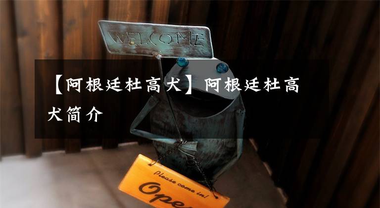 【阿根廷杜高犬】阿根廷杜高犬简介