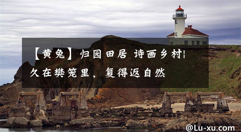 【黄兔】归园田居 诗画乡村|久在樊笼里,复得返自然