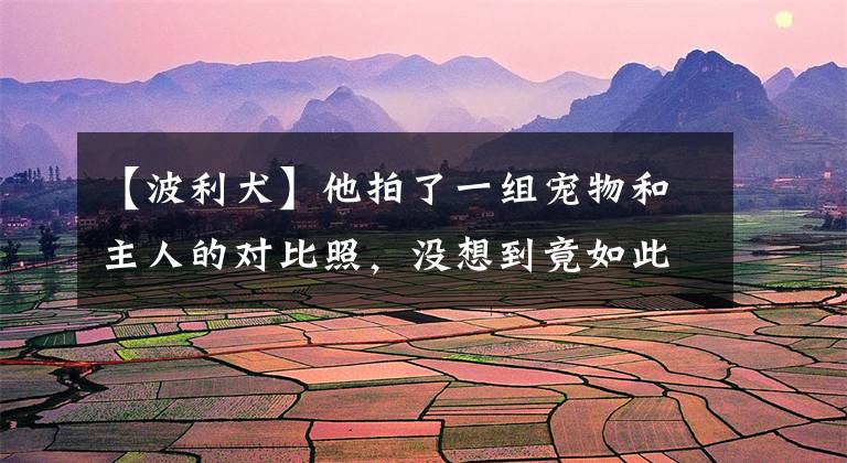 【波利犬】他拍了一组宠物和主人的对比照，没想到竟如此相像！