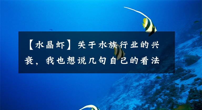 【水晶虾】关于水族行业的兴衰,我也想说几句自己的看法