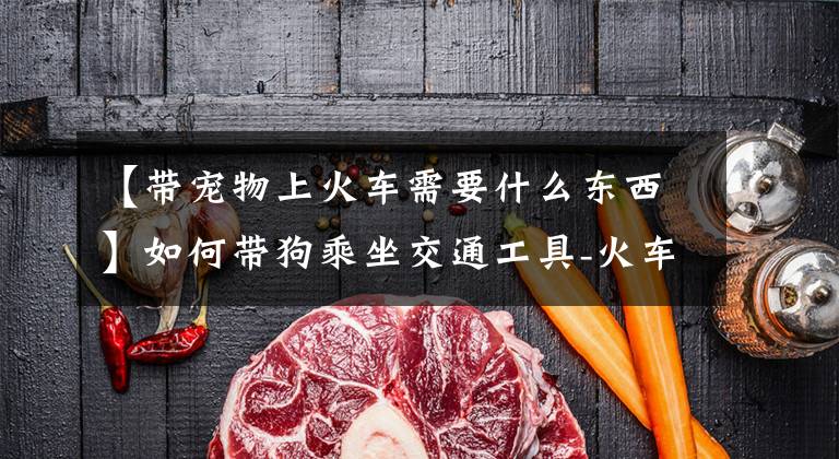 【带宠物上火车需要什么东西】如何带狗乘坐交通工具-火车