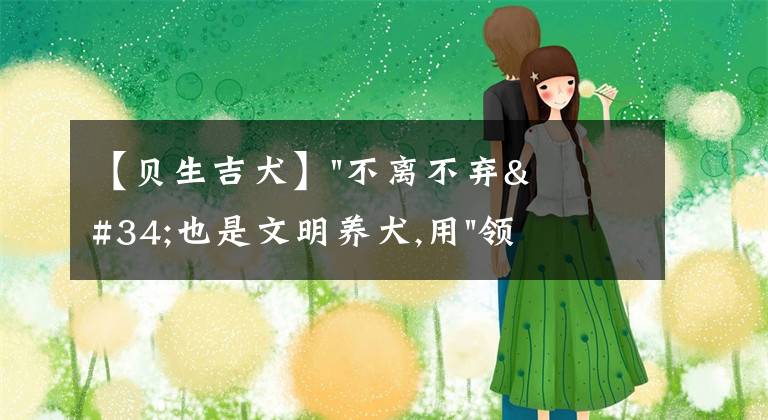 【贝生吉犬】"不离不弃"也是文明养犬,用"领养代替购买"你愿意吗？