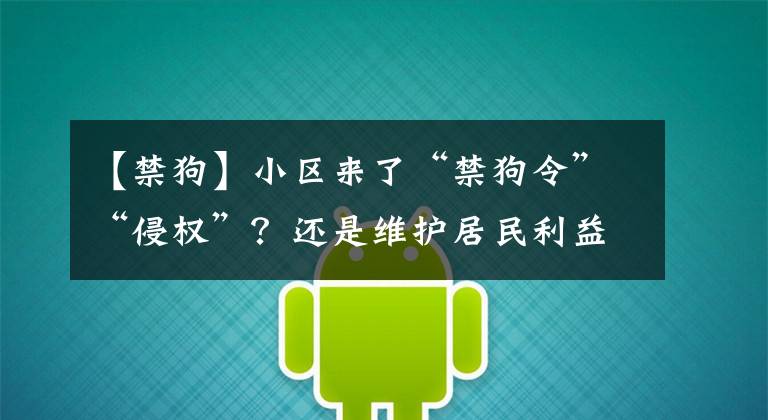 【禁狗】小区来了“禁狗令”“侵权”？还是维护居民利益