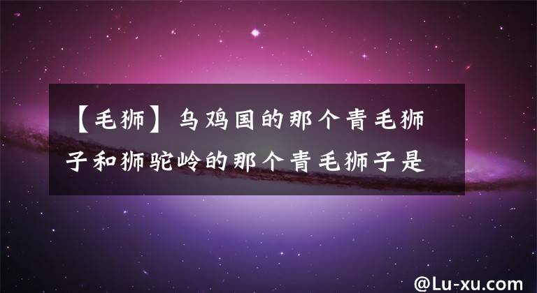 【毛狮】乌鸡国的那个青毛狮子和狮驼岭的那个青毛狮子是同一只吗？