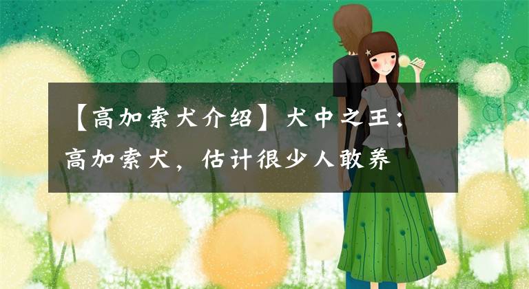 【高加索犬介绍】犬中之王：高加索犬，估计很少人敢养