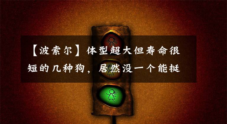 【波索尔】体型超大但寿命很短的几种狗，居然没一个能挺过九年