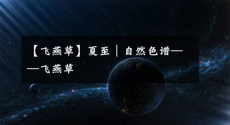 【飞燕草】夏至｜自然色谱——飞燕草