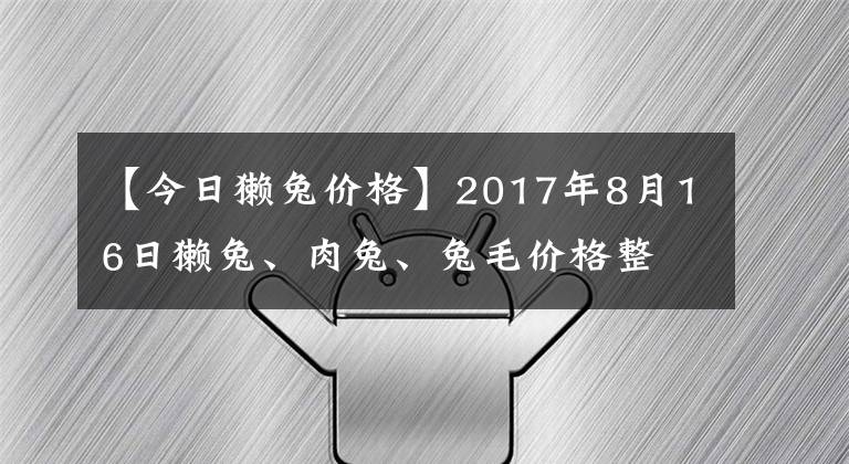 【今日獭兔价格】2017年8月16日獭兔、肉兔、兔毛价格整