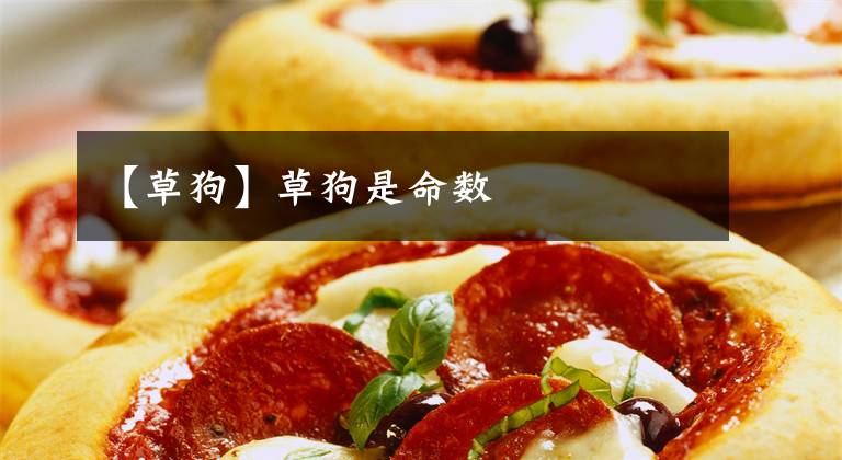 【草狗】草狗是命数