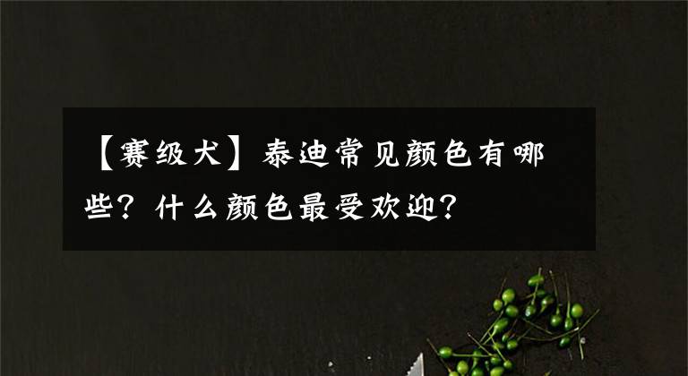 【赛级犬】泰迪常见颜色有哪些？什么颜色最受欢迎？