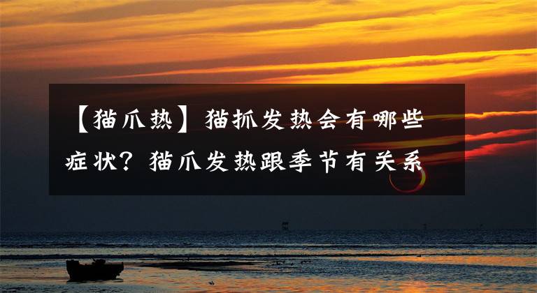 【猫爪热】猫抓发热会有哪些症状?猫爪发热跟季节有关系吗?