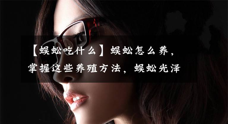 【蜈蚣吃什么】蜈蚣怎么养，掌握这些养殖方法，蜈蚣光泽好个头大