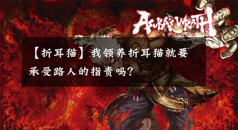 【折耳猫】我领养折耳猫就要承受路人的指责吗？