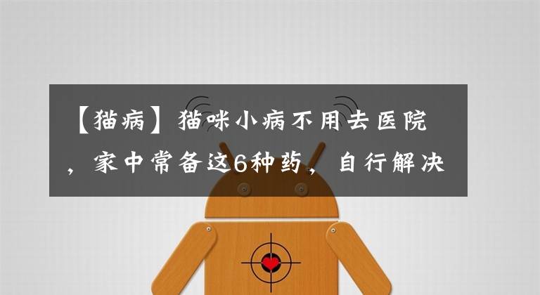 【猫病】猫咪小病不用去医院，家中常备这6种药，自行解决轻松处理