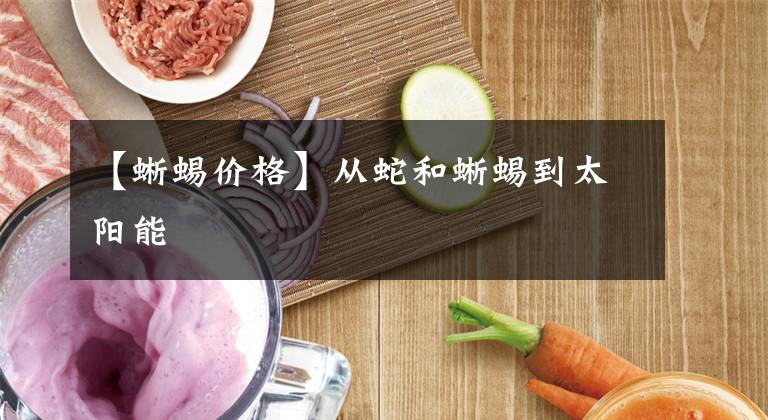 【蜥蜴价格】从蛇和蜥蜴到太阳能