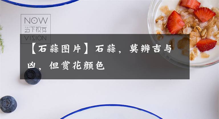 【石蒜图片】石蒜，莫辨吉与凶，但赏花颜色