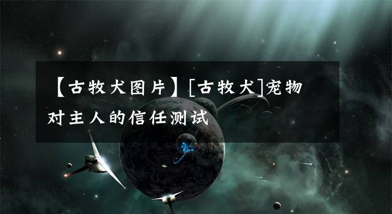 【古牧犬图片】[古牧犬]宠物对主人的信任测试