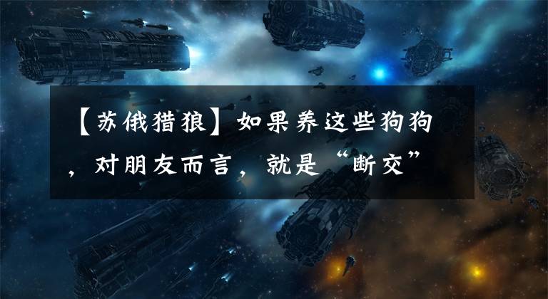 【苏俄猎狼】如果养这些狗狗，对朋友而言，就是“断交”的信号