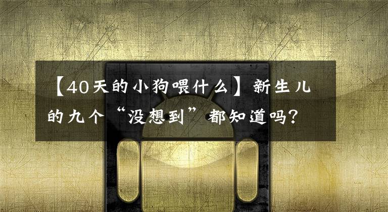 【40天的小狗喂什么】新生儿的九个“没想到”都知道吗?