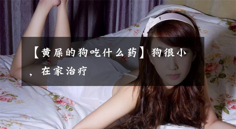 【黄屎的狗吃什么药】狗很小，在家治疗