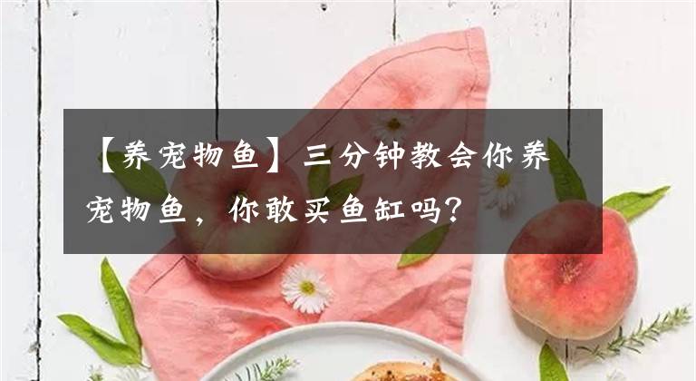 【养宠物鱼】三分钟教会你养宠物鱼，你敢买鱼缸吗？