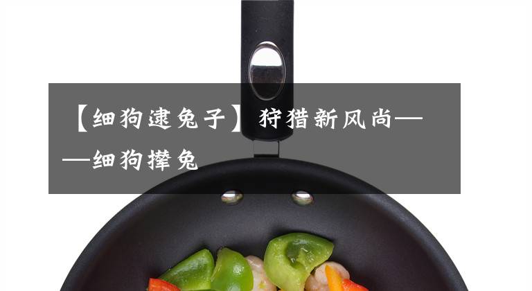 【细狗逮兔子】狩猎新风尚——细狗撵兔