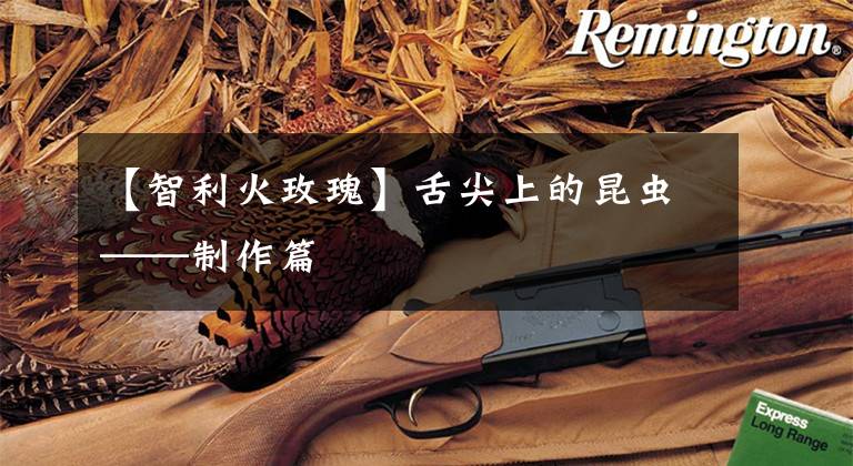 【智利火玫瑰】舌尖上的昆虫——制作篇