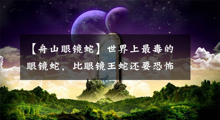 【舟山眼镜蛇】世界上最毒的眼镜蛇，比眼镜王蛇还要恐怖？为何却说它毒不死人？