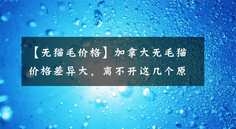 【无猫毛价格】加拿大无毛猫价格差异大，离不开这几个原因