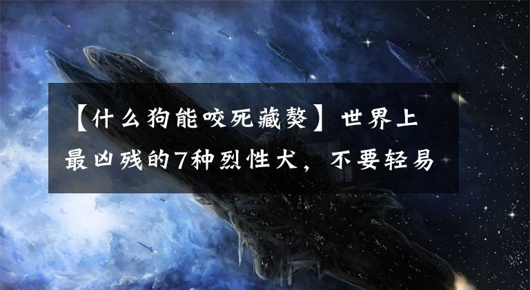 【什么狗能咬死藏獒】世界上最凶残的7种烈性犬，不要轻易靠近它们