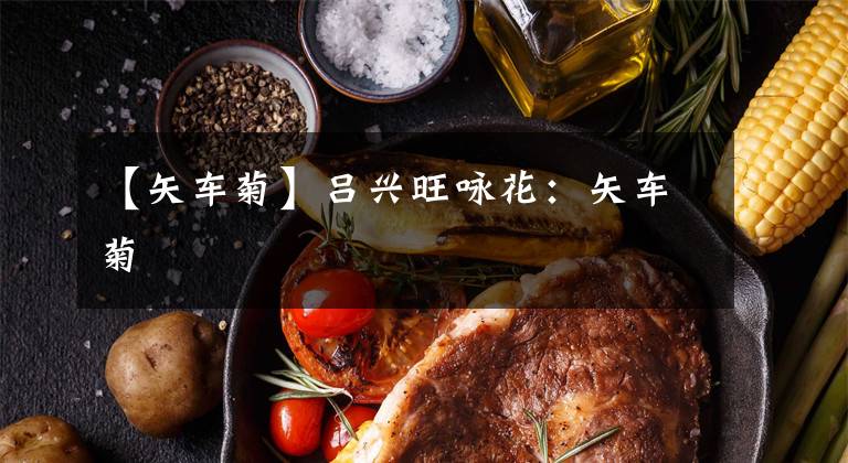 【矢车菊】吕兴旺咏花:矢车菊