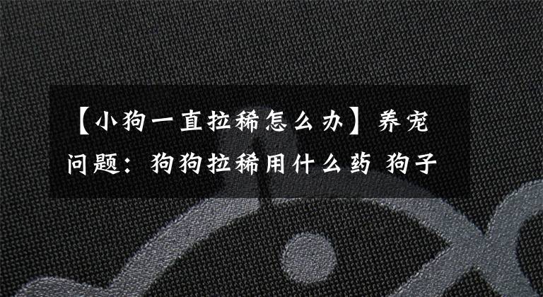 【小狗一直拉稀怎么办】养宠问题：狗狗拉稀用什么药 狗子拉肚子能用什么药？
