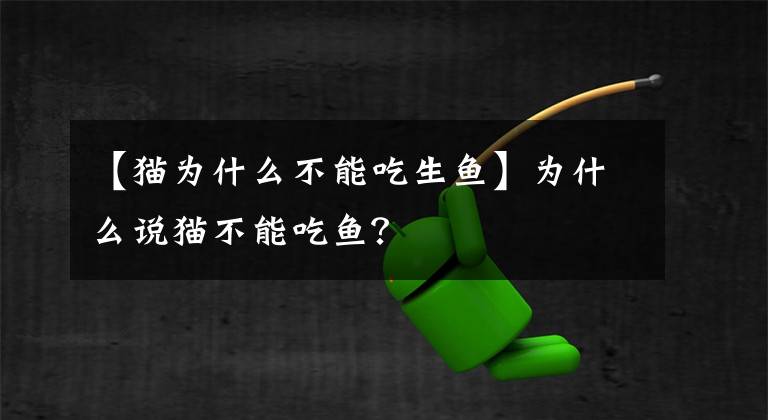 【猫为什么不能吃生鱼】为什么说猫不能吃鱼？