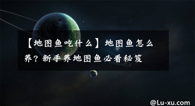 【地图鱼吃什么】地图鱼怎么养? 新手养地图鱼必看秘笈