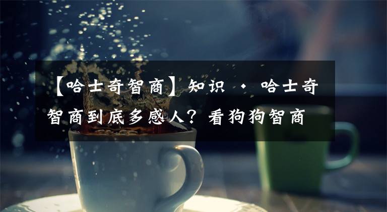 【哈士奇智商】知识 · 哈士奇智商到底多感人？看狗狗智商排名就造啦！