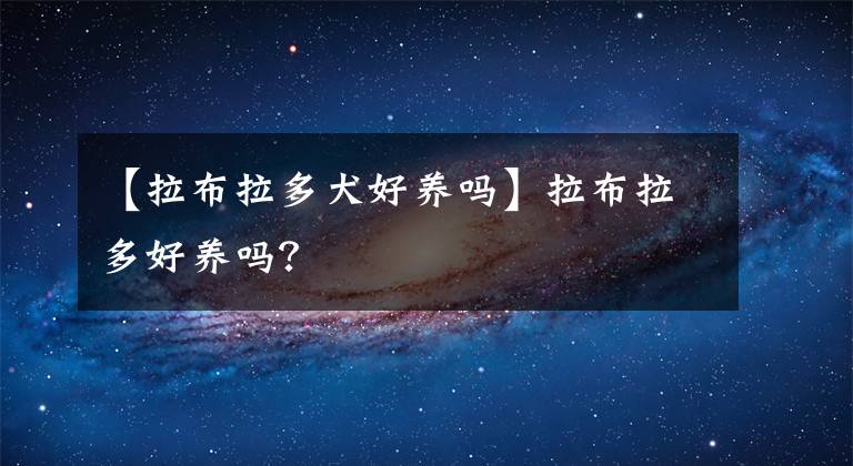 【拉布拉多犬好养吗】拉布拉多好养吗？