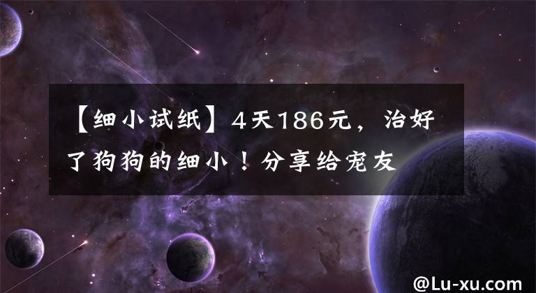 【细小试纸】4天186元，治好了狗狗的细小！分享给宠友