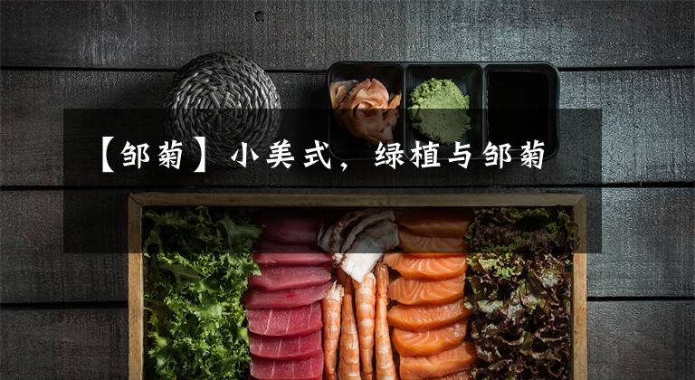 【邹菊】小美式,绿植与邹菊