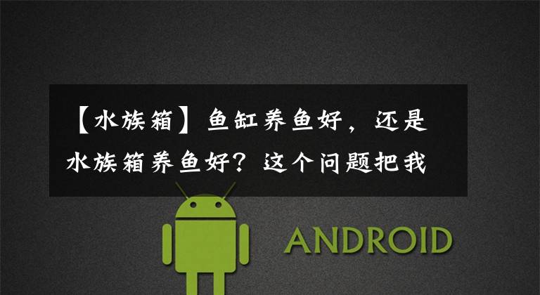 【水族箱】鱼缸养鱼好,还是水族箱养鱼好?这个问题把我给问糊涂了