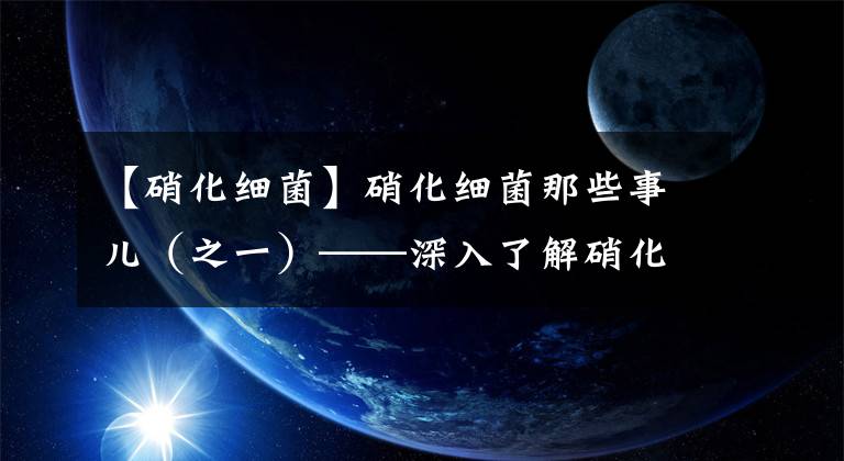 【硝化细菌】硝化细菌那些事儿（之一）——深入了解硝化细菌