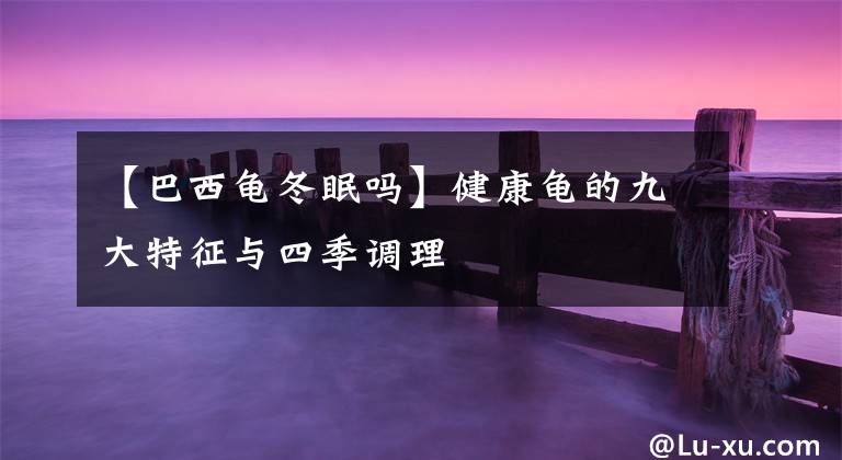 【巴西龟冬眠吗】健康龟的九大特征与四季调理