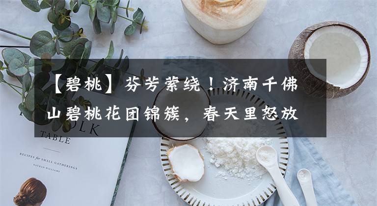 【碧桃】芬芳萦绕！济南千佛山碧桃花团锦簇，春天里怒放的一抹红