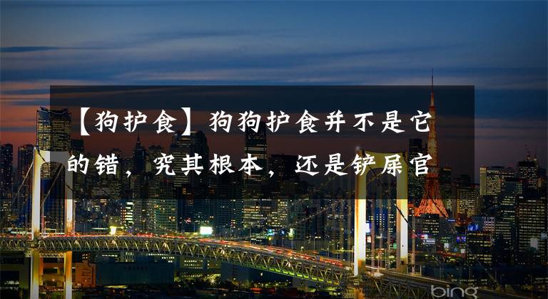 【狗护食】狗狗护食并不是它的错,究其根本,还是铲屎官没用对方法