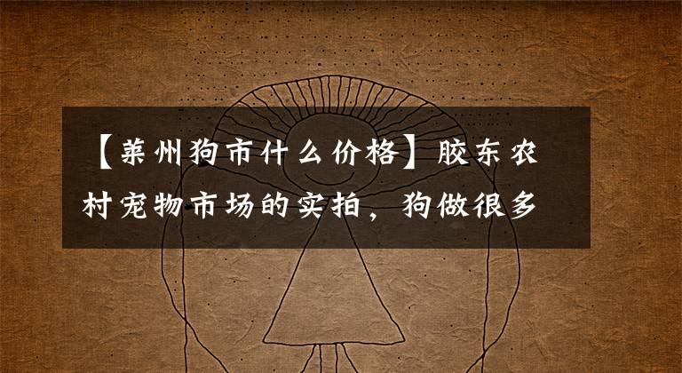 【莱州狗市什么价格】胶东农村宠物市场的实拍，狗做很多眼神，你喜欢哪个？(莎士比亚，宠物，宠物，宠物，宠物，宠物，宠物)。