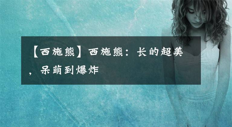 【西施熊】西施熊:长的超美,呆萌到爆炸