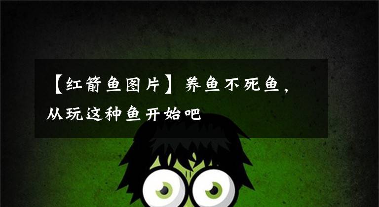 【红箭鱼图片】养鱼不死鱼，从玩这种鱼开始吧