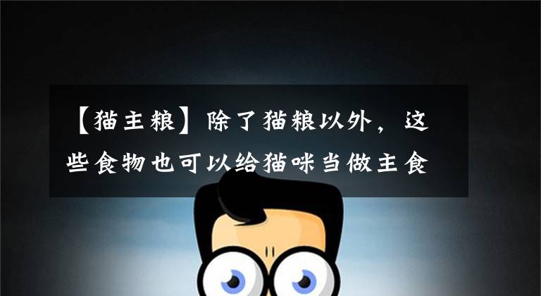 【猫主粮】除了猫粮以外,这些食物也可以给猫咪当做主食,你家喂的是啥?