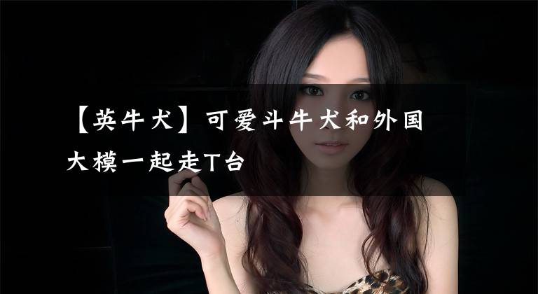 【英牛犬】可爱斗牛犬和外国大模一起走T台