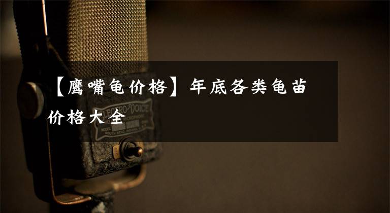 【鹰嘴龟价格】年底各类龟苗价格大全
