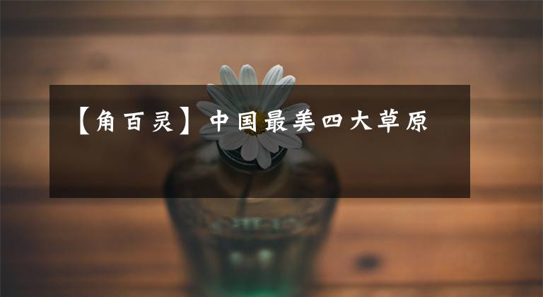 【角百灵】中国最美四大草原